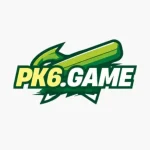 pk6 game